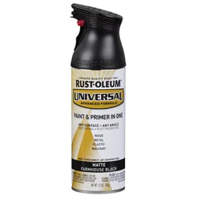 12 OZ BLK Matte Paint