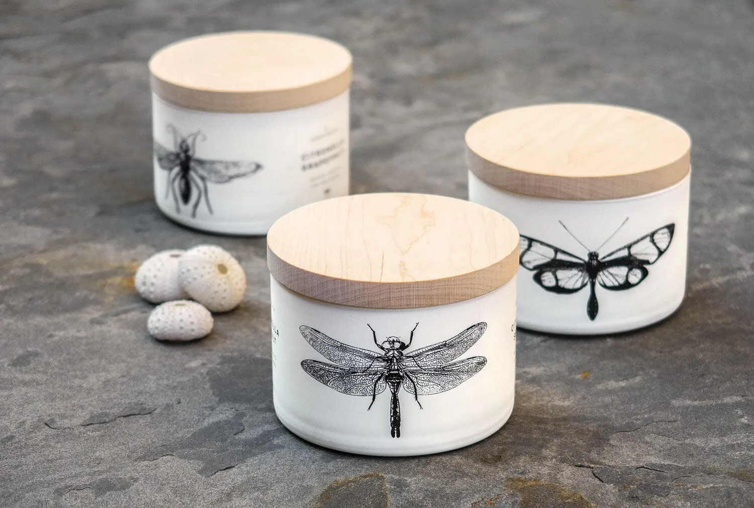 Citronella Triple-Wick Candle - Sea Salt